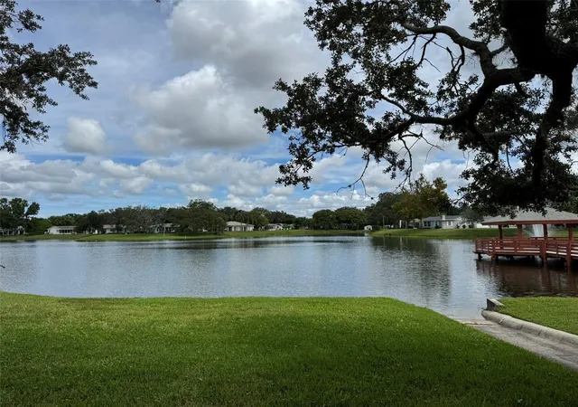 Photo 51 of Single family home for sale at 8215 San Felipe Ct, Port Richey, FL 34668 | MLS# W7889406 | Listing updated on 2026-09-14
