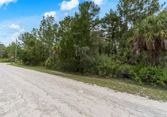 Photo 4 of Land for sale at 18399 Ramsey Rd, Weeki Wachee, FL 34614 | MLS# W7889433 | Listing updated on 2026-10-06