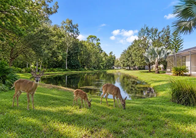 Photo 2 of Single family home for sale at 11438 Merganser Way, New Port Richey, FL 34654 | MLS# TB8547787 | Listing updated on 2026-10-21