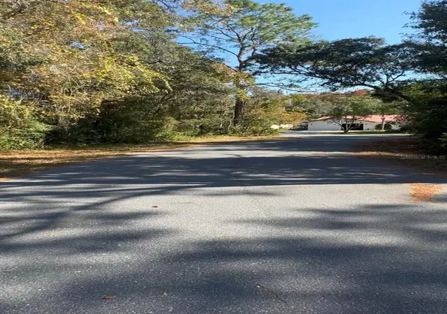 Photo 3 of Land for sale at 26 Wild Olive Ct, Homosassa, FL 34446 | MLS# O6441091 | Listing updated on 2026-09-12