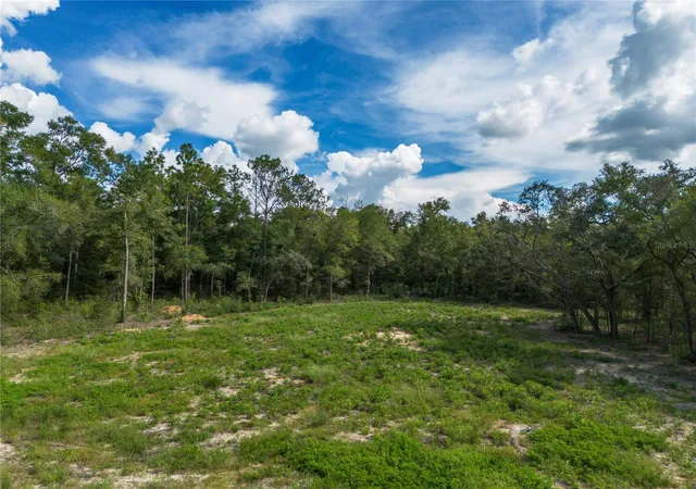 Land for sale at 0 NE 82nd Place, BRONSON, FL 32621 | MLS# GC543450