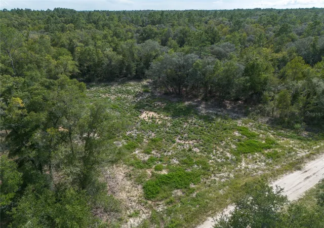Photo 2 of Land for sale at 0 NE 82nd Place, Bronson, FL 32621 | MLS# GC543450 | Listing updated on 2026-09-22
