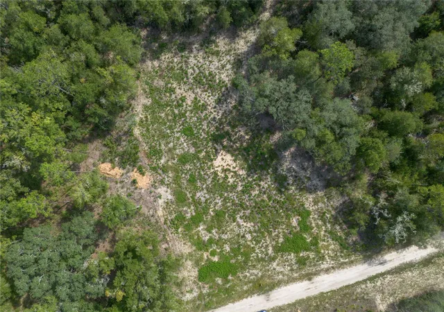 Photo 3 of Land for sale at 0 NE 82nd Place, Bronson, FL 32621 | MLS# GC543450 | Listing updated on 2026-09-22