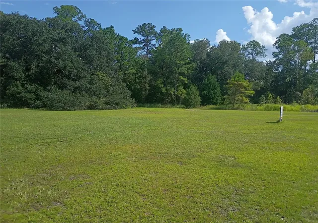 Land for sale at Tbd NE US Hwy 301, WALDO, FL 32694 | MLS# GC543453