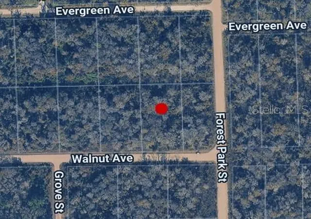 Photo 1 of Land for sale at 3998 Walnut Ave, Bunnell, FL 32110 | MLS# C7530660 | Listing updated on 2026-09-12