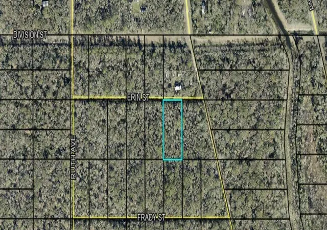 Land for sale at Tract 159 Erin St, HASTINGS, FL 32145 | MLS# C7530663