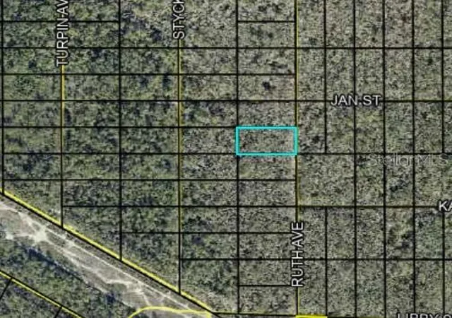 Land for sale at Track 189 Ruth Ave, HASTINGS, FL 32145 | MLS# C7530664