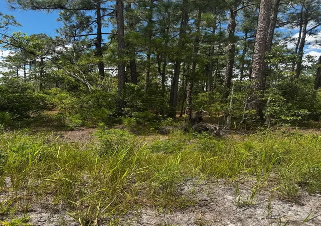 Photo 1 of Land for sale at Mcclellan Rd #6, Frostproof, FL 33843 | MLS# P4939865 | Listing updated on 2026-09-12
