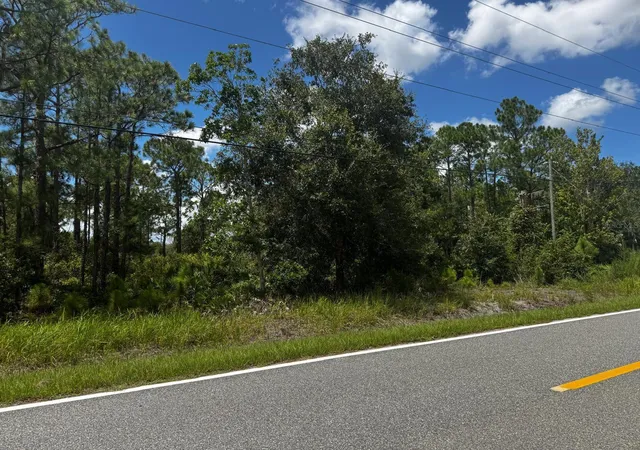 Photo 1 of Land for sale at Mcclellan Rd #49, Frostproof, FL 33843 | MLS# P4939866 | Listing updated on 2026-09-12
