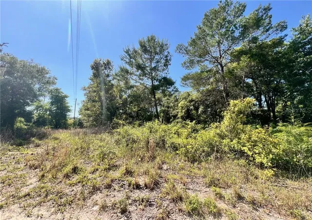 Photo 3 of Land for sale at 4956 E Posselt Dr, Hernando, FL 34442 | MLS# CC833208 | Listing updated on 2026-10-08