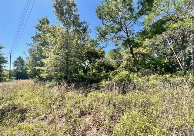 Photo 4 of Land for sale at 4956 E Posselt Dr, Hernando, FL 34442 | MLS# CC833208 | Listing updated on 2026-10-08