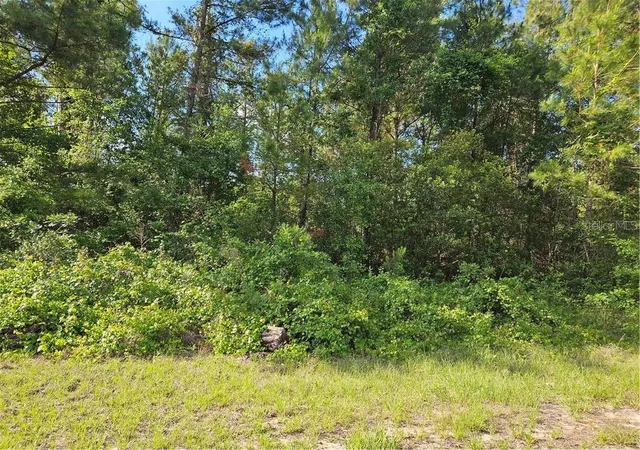 Photo 2 of Land for sale at 622 E Abady Ln, Dunnellon, FL 34434 | MLS# CC844498 | Listing updated on 2026-10-08