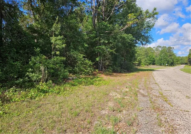 Photo 3 of Land for sale at 622 E Abady Ln, Dunnellon, FL 34434 | MLS# CC844498 | Listing updated on 2026-10-08