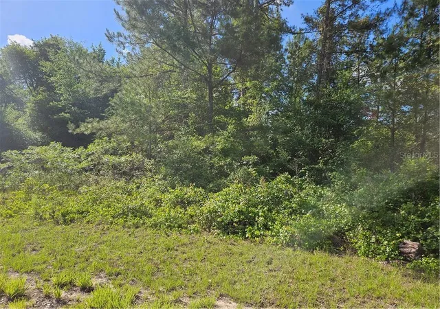 Photo 3 of Land for sale at 622 E Abady Ln, Dunnellon, FL 34434 | MLS# CC844498 | Listing updated on 2026-10-08