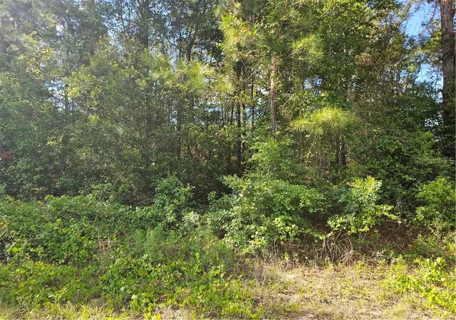 Photo 4 of Land for sale at 622 E Abady Ln, Dunnellon, FL 34434 | MLS# CC844498 | Listing updated on 2026-10-08