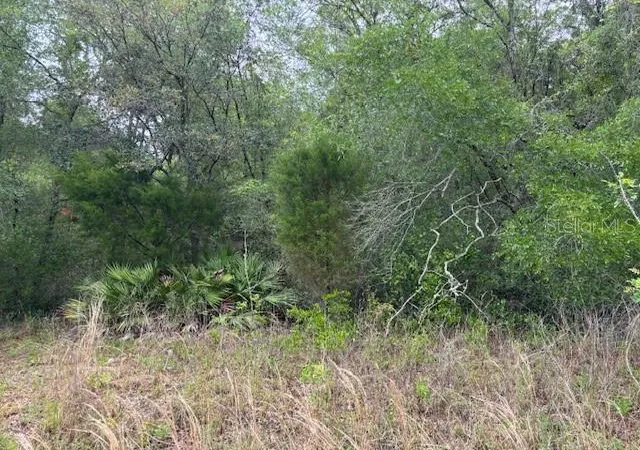 Photo 1 of Land for sale at 93 N Croft Ave, Inverness, FL 34453 | MLS# CC844595 | Listing updated on 2026-10-08