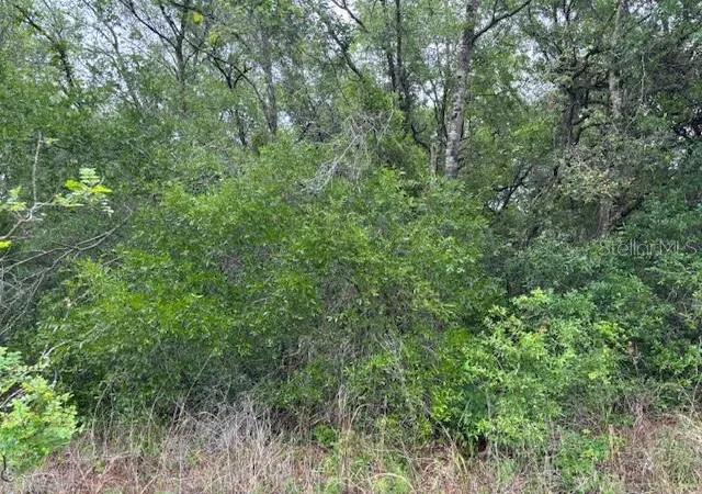 Photo 2 of Land for sale at 93 N Croft Ave, Inverness, FL 34453 | MLS# CC844595 | Listing updated on 2026-10-08
