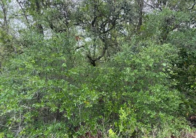 Photo 3 of Land for sale at 93 N Croft Ave, Inverness, FL 34453 | MLS# CC844595 | Listing updated on 2026-10-08