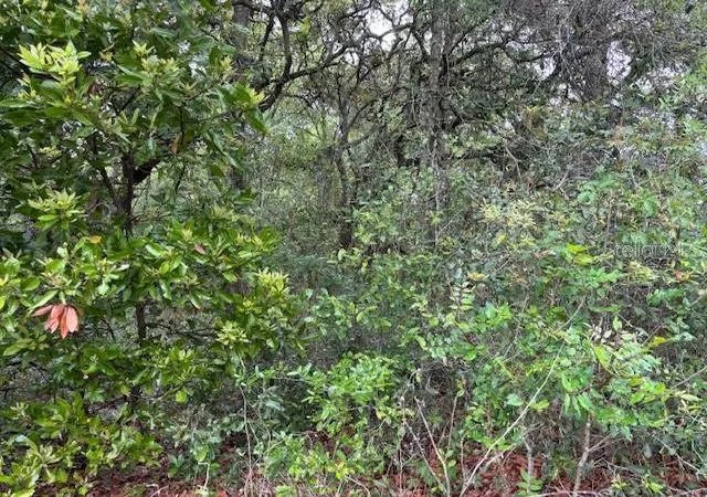 Photo 3 of Land for sale at 93 N Croft Ave, Inverness, FL 34453 | MLS# CC844595 | Listing updated on 2026-10-08