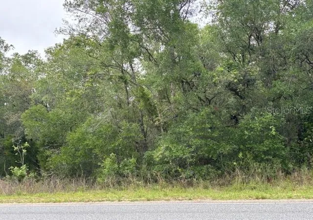 Photo 4 of Land for sale at 93 N Croft Ave, Inverness, FL 34453 | MLS# CC844595 | Listing updated on 2026-10-08