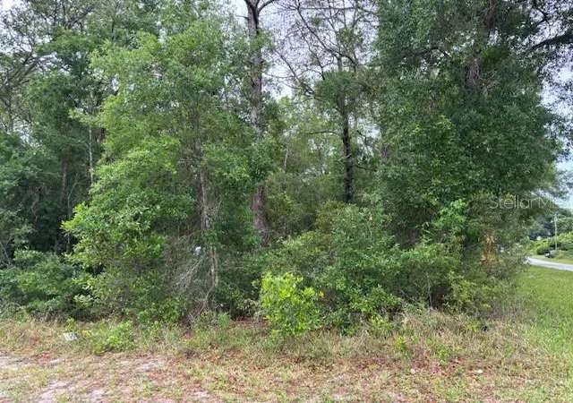 Photo 1 of Land for sale at 359 N Fitzpatrick Ave, Inverness, FL 34453 | MLS# CC844598 | Listing updated on 2026-10-08