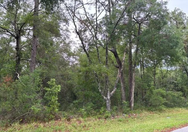 Photo 2 of Land for sale at 359 N Fitzpatrick Ave, Inverness, FL 34453 | MLS# CC844598 | Listing updated on 2026-10-08