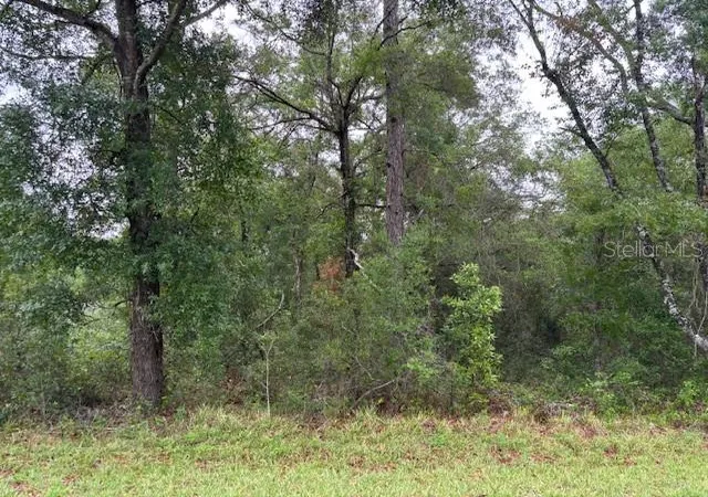 Photo 3 of Land for sale at 359 N Fitzpatrick Ave, Inverness, FL 34453 | MLS# CC844598 | Listing updated on 2026-10-08