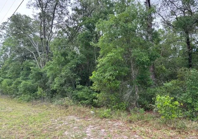 Photo 3 of Land for sale at 359 N Fitzpatrick Ave, Inverness, FL 34453 | MLS# CC844598 | Listing updated on 2026-10-08