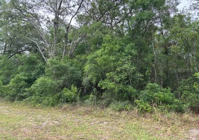 Photo 4 of Land for sale at 359 N Fitzpatrick Ave, Inverness, FL 34453 | MLS# CC844598 | Listing updated on 2026-10-08