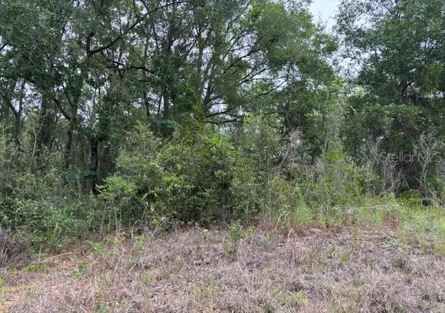 Land for sale at 6717 E Gentry St, Inverness, FL 34452 | MLS# CC844600