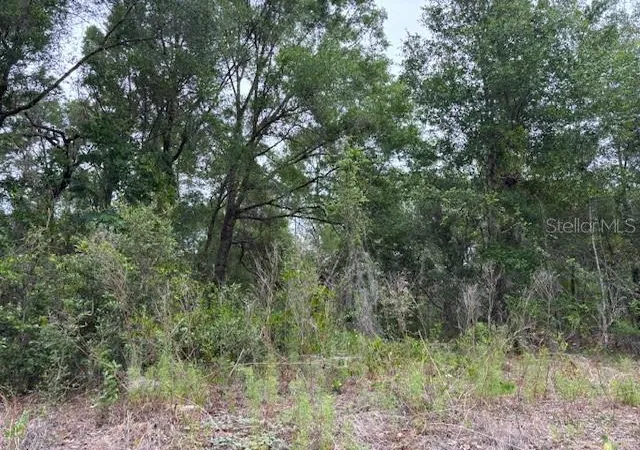 Photo 1 of Land for sale at 6717 E Gentry St, Inverness, FL 34452 | MLS# CC844600 | Listing updated on 2026-10-08