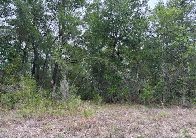 Photo 2 of Land for sale at 6717 E Gentry St, Inverness, FL 34452 | MLS# CC844600 | Listing updated on 2026-10-08