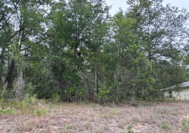 Photo 3 of Land for sale at 6717 E Gentry St, Inverness, FL 34452 | MLS# CC844600 | Listing updated on 2026-10-08