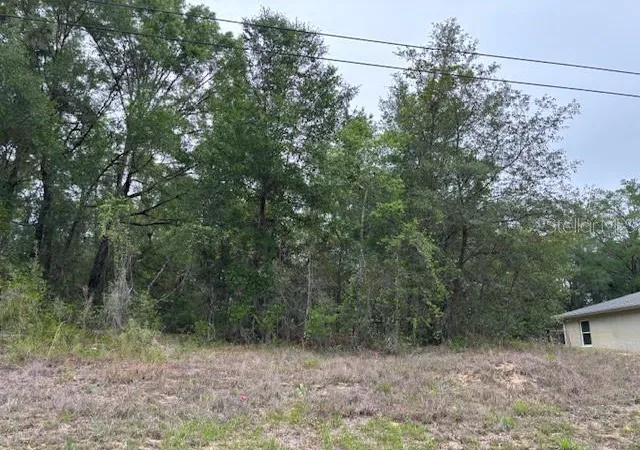 Photo 4 of Land for sale at 6717 E Gentry St, Inverness, FL 34452 | MLS# CC844600 | Listing updated on 2026-10-08