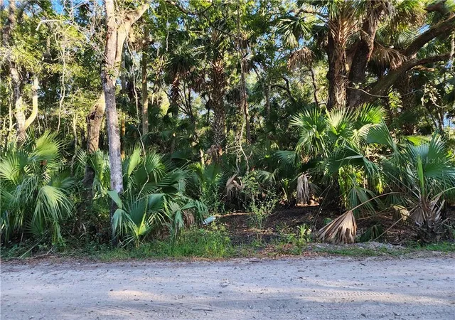 Photo 1 of Land for sale at 13334 E Shawnee Trl, Inverness, FL 34450 | MLS# CC848495 | Listing updated on 2026-10-08
