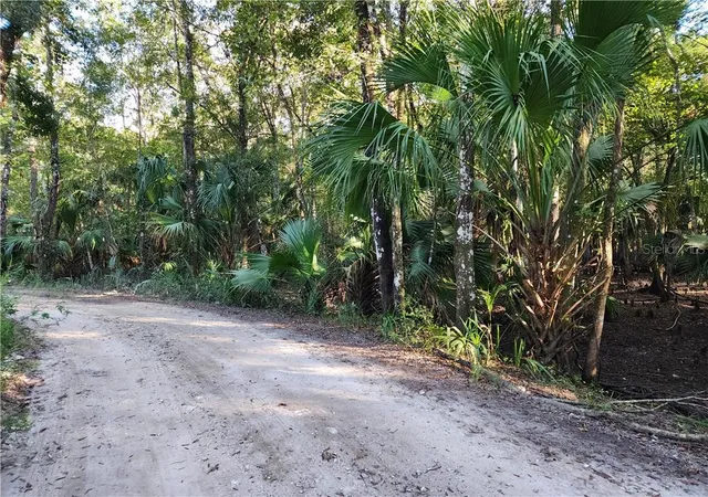 Photo 2 of Land for sale at 13334 E Shawnee Trl, Inverness, FL 34450 | MLS# CC848495 | Listing updated on 2026-10-08