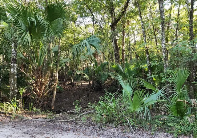 Photo 3 of Land for sale at 13334 E Shawnee Trl, Inverness, FL 34450 | MLS# CC848495 | Listing updated on 2026-10-08