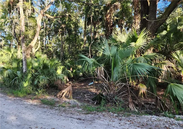 Photo 3 of Land for sale at 13334 E Shawnee Trl, Inverness, FL 34450 | MLS# CC848495 | Listing updated on 2026-10-08