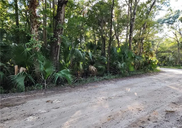 Photo 4 of Land for sale at 13334 E Shawnee Trl, Inverness, FL 34450 | MLS# CC848495 | Listing updated on 2026-10-08