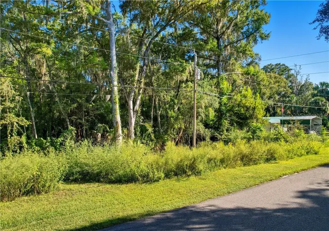 Photo 3 of Sale Pending at County Road 401, Lake Panasoffkee, FL 33538 | MLS# CC848838 | Listing updated on 2026-10-08