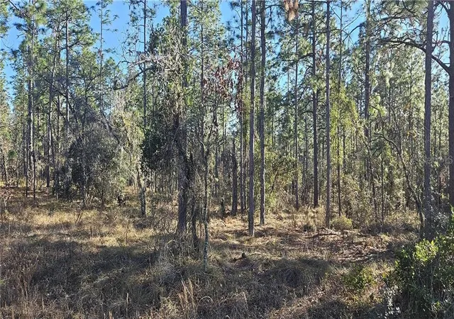 Land for sale at Lot 13 NW Water Oak Ave, Dunnellon, FL 34431 | MLS# CC851612