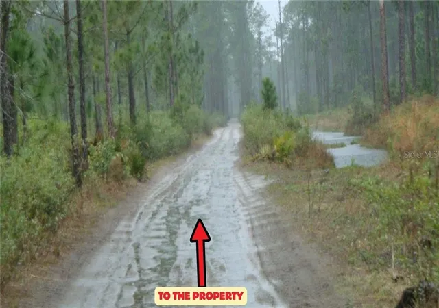 Photo 1 of Land for sale at Hwy 630 East, Frostproof, FL 33843 | MLS# CC852152 | Listing updated on 2026-10-08