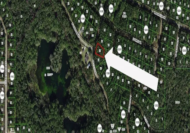 Photo 1 of Land for sale at 8295 N Lily Dr, Dunnellon, FL 34434 | MLS# CC853106 | Listing updated on 2026-10-08