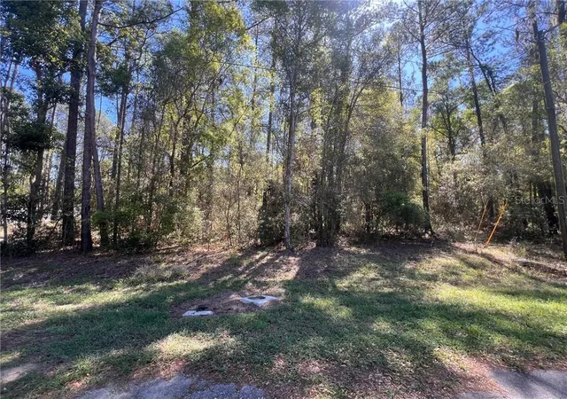 Photo 2 of Land for sale at 8295 N Lily Dr, Dunnellon, FL 34434 | MLS# CC853106 | Listing updated on 2026-10-08