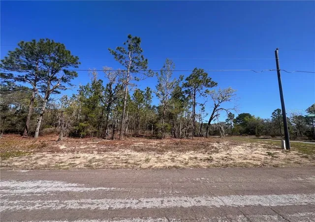 Photo 2 of Land for sale at 10920 N G Martinelli Blvd, Citrus Springs, FL 34433 | MLS# CC853115 | Listing updated on 2026-10-08