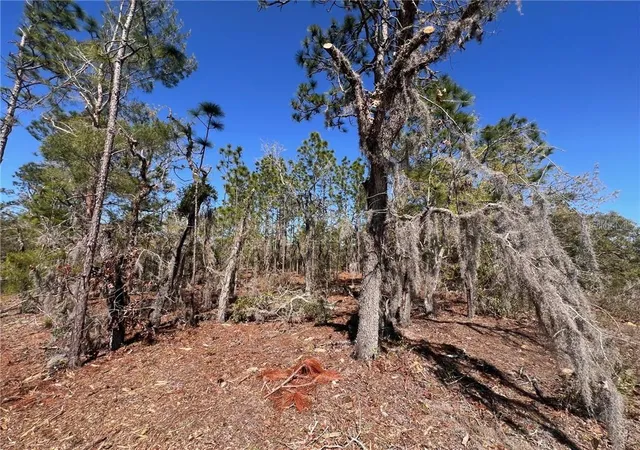 Photo 3 of Land for sale at 10920 N G Martinelli Blvd, Citrus Springs, FL 34433 | MLS# CC853115 | Listing updated on 2026-10-08