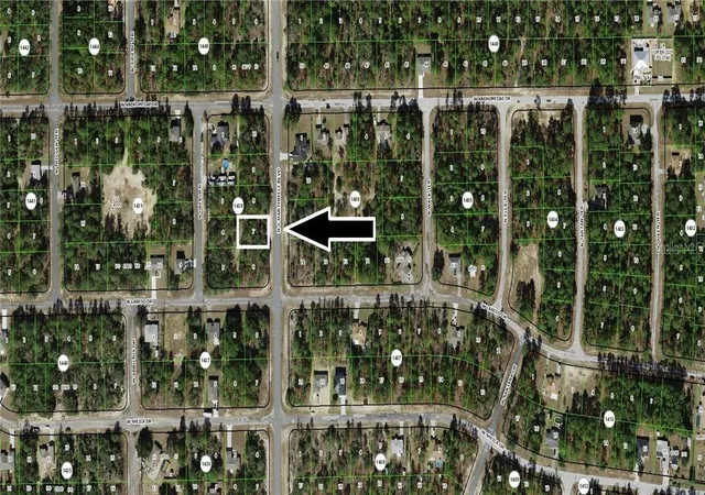 Land for sale at 10940 N G Martinelli Blvd, Citrus Springs, FL 34433 | MLS# CC853471