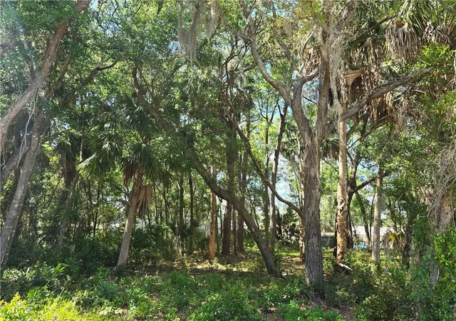 Land for sale at 7075 W Crestview Ln, Crystal River, FL 34429 | MLS# CC854071