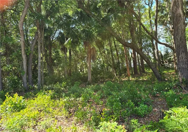 Photo 1 of Land for sale at 7075 W Crestview Ln, Crystal River, FL 34429 | MLS# CC854071 | Listing updated on 2026-10-08