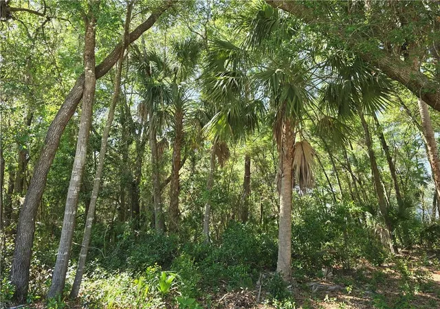 Photo 2 of Land for sale at 7075 W Crestview Ln, Crystal River, FL 34429 | MLS# CC854071 | Listing updated on 2026-10-08